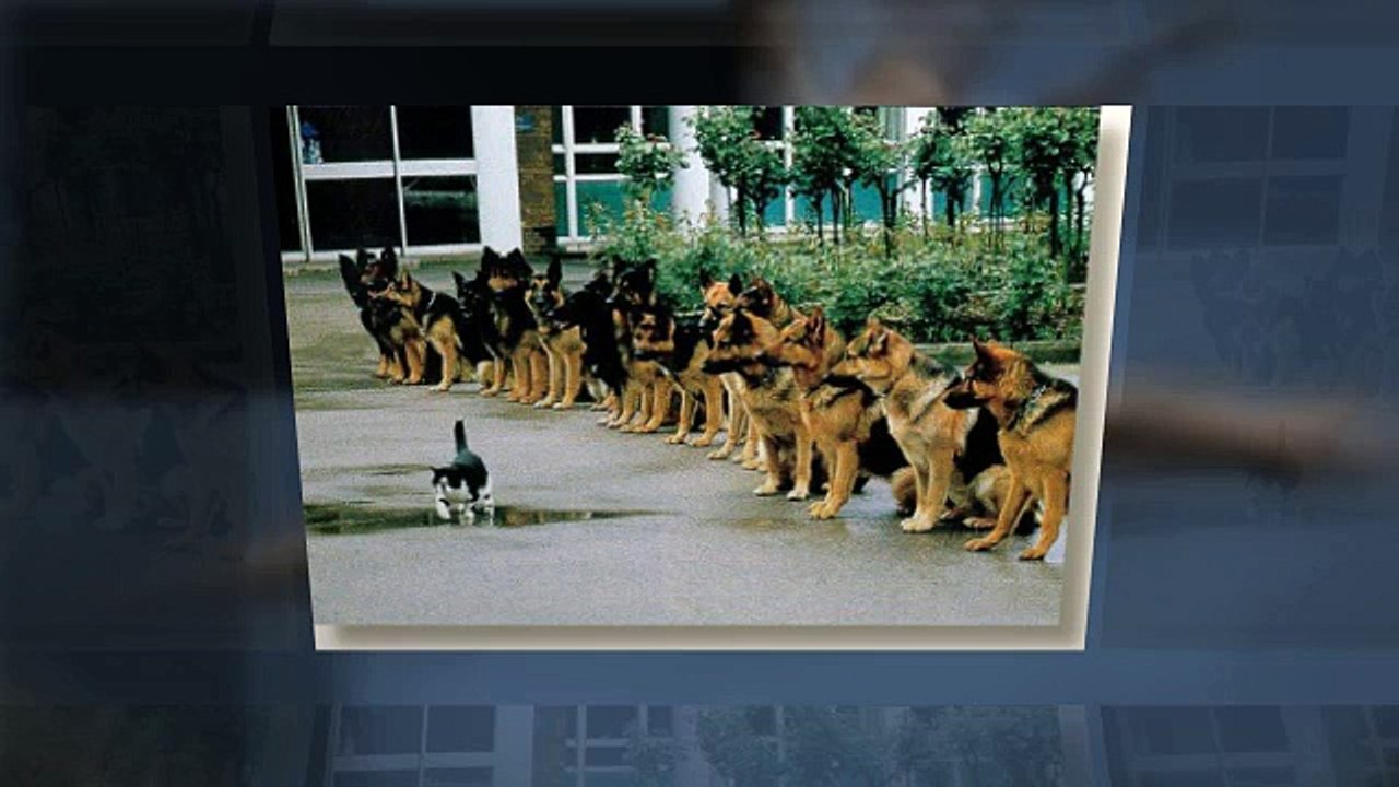 Self Confidence