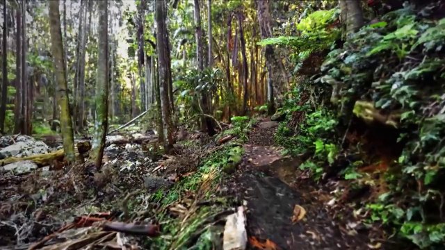 Extrait / Gameplay - SolidScan Euclideon (Graphismes Photo-Réalistes PC PS4 Xbox One)