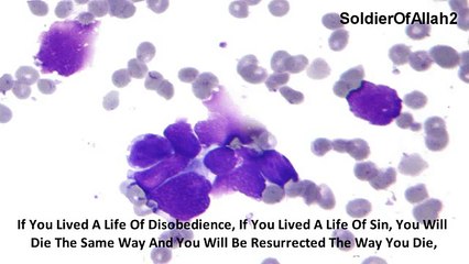 Must Listen You Will Die The Way U Live By M Abdul Jabbar