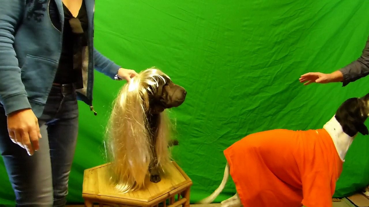 JT - Bêtisier du JT (Best-of du Tournage)