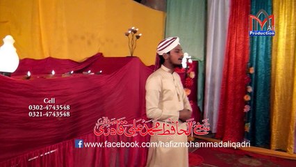 Hafiz Mohammad Ali Qadri Sariki Kalam Chummo Chummo