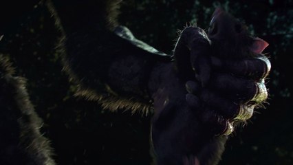 Warhammer : End Times – Vermintide - Announcement Teaser