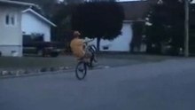wheelie