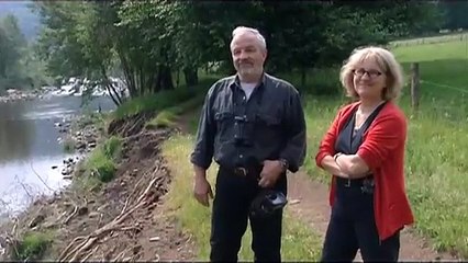 La Loire, un fleuve qui a su rester sauvage