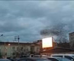 Kuşlardan muhteşem dans