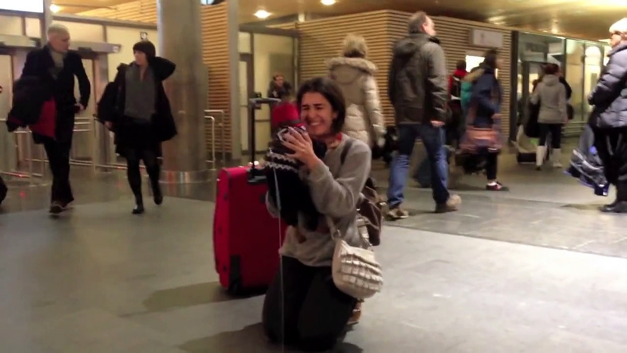 Un chien content de retrouver sa maîtresse