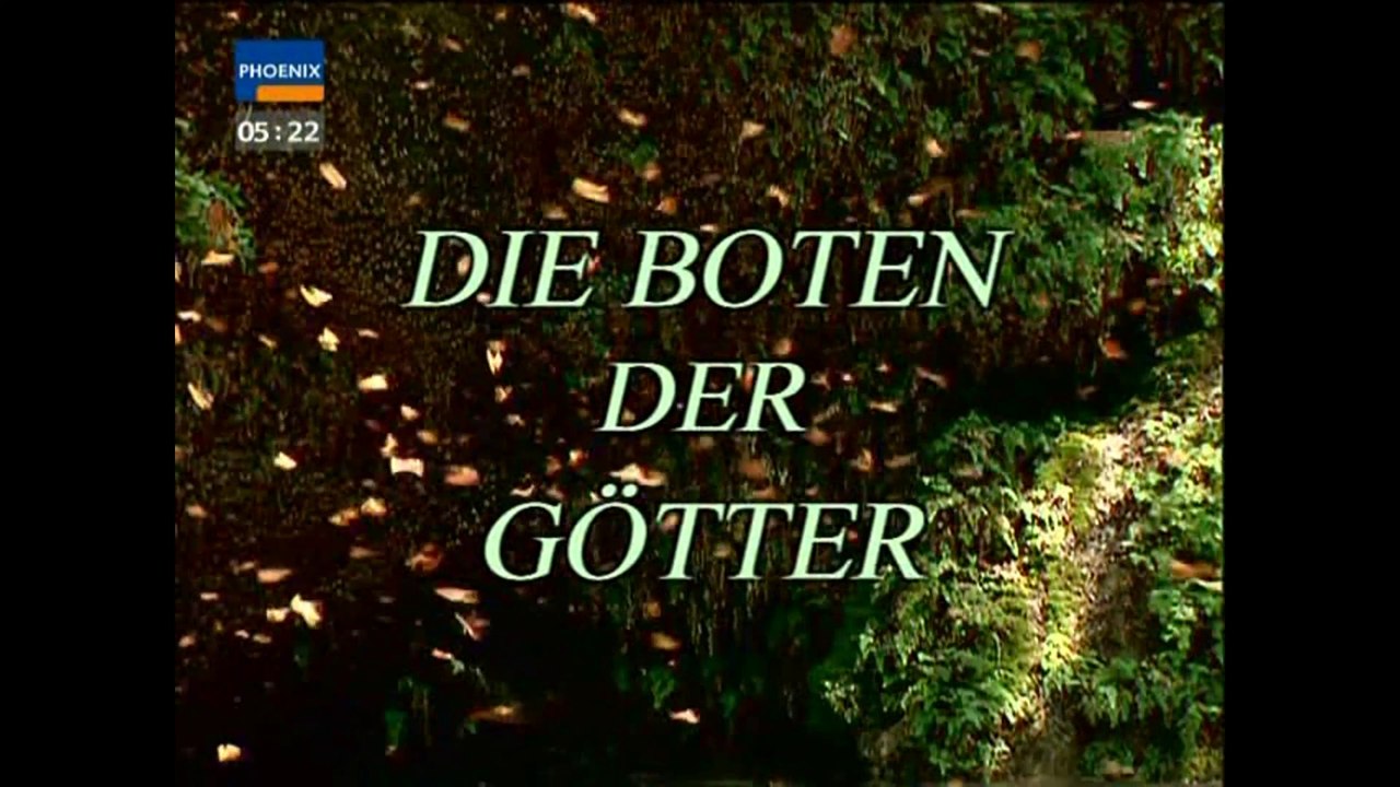 Die Boten der Götter - 1997 - Schmetterlinge - Ein Leben wie Tag und Nacht - by ARTBLOOD