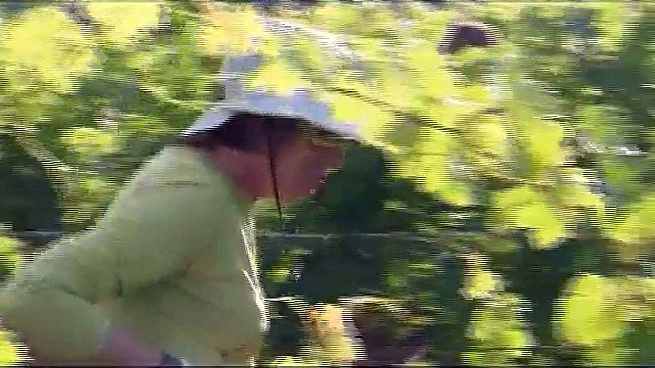 A vos bêches pour la journée binette