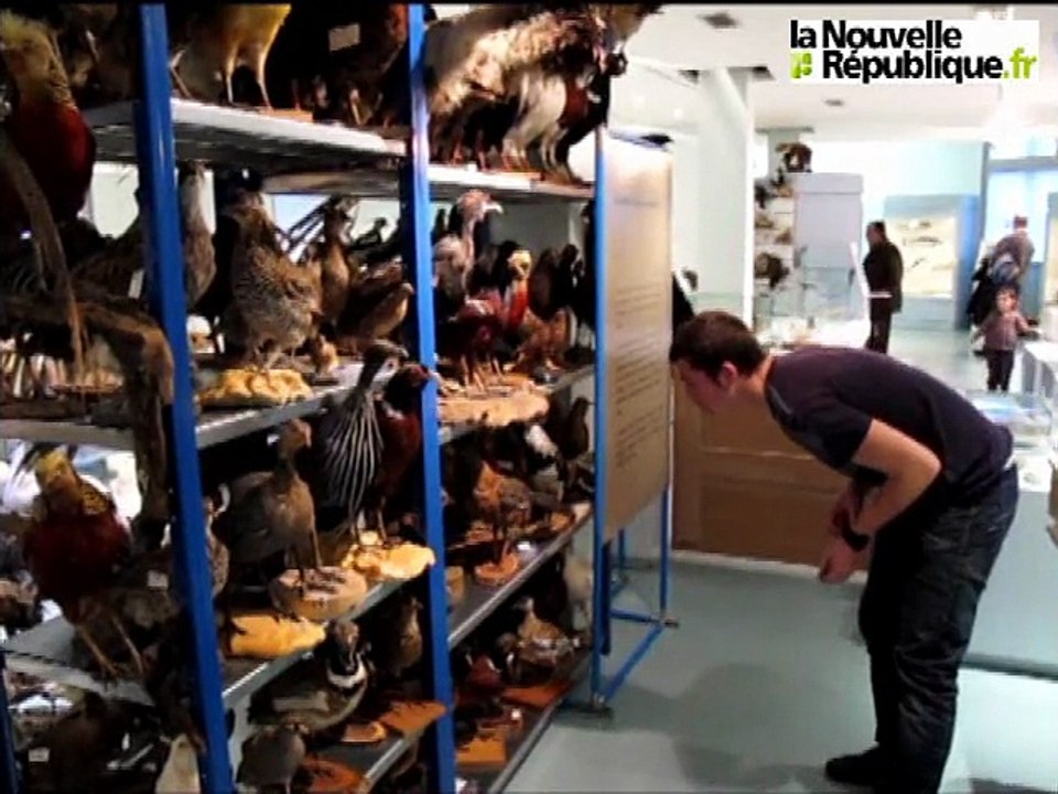 De nouveaux pensionnaires au muséum de Tours