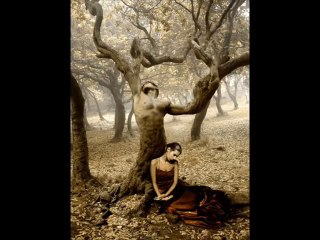 ليلة الوداع - حوريه حسن