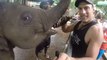 Feeding an Elephant With a Baby's Bottle