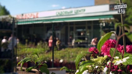 Сваты 5 (5-й сезон, 1-я серия)