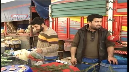 Lodos ve sağanak yağış, çiftçiyi vurdu