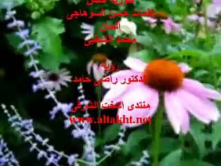 يا جناين فى العيد - حوريه حسن