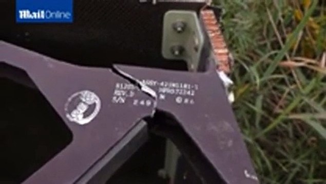 Malaysia Airlines MH17 'shot down' over Ukraine carrying 295 people - 17 July 2014