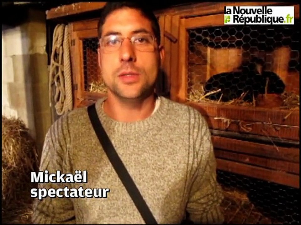 Châteauroux (Indre) : La Bête à cornes