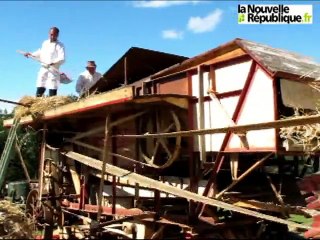 Ambiance aux champs à la 36e Fête des traditions paysannes de Ménigoute