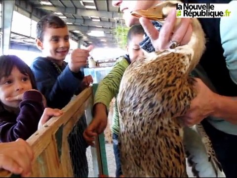 Parthenay : ambiance au festival de l'élevage et de la gastronomie
