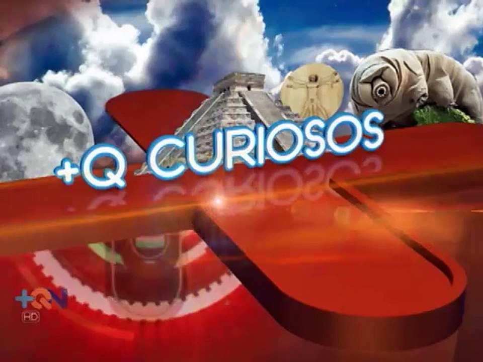 Q Curiosos: ¿Por qué se generan las fobias?