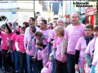 "Journée rose" à Chinon contre le cancer