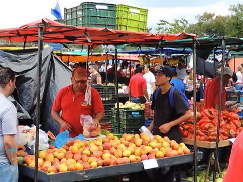 Un matrimonio cultiva productos orgánicos que ofrece en ferias del agricultor