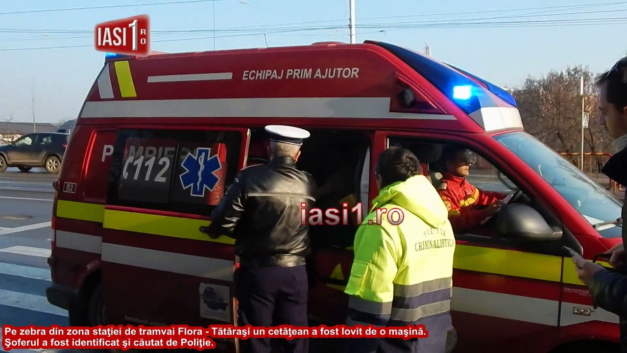 Pe zebra lovit de o masina