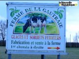 Des bûches glacées de Noël au bon lait de la ferme