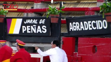 Alejandro Talavante en Arroyo