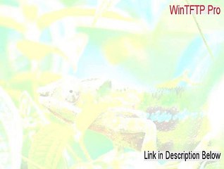 WinTFTP Pro Download Free (Risk Free Download)