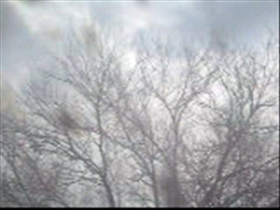 Dazed & Confused (cover song) by Billy J Bryan & The Ax Grinders / video by Robert Segarra