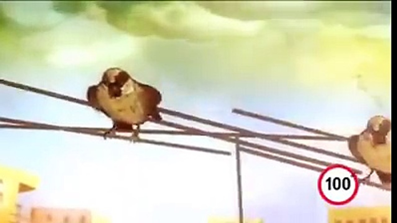 World's Best 100 sec video Ever. Must Watch! Video