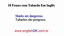 Frases Com Tubarão Em Inglês