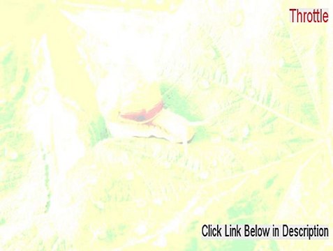 Throttle Full (throttle body cleaner 2015)