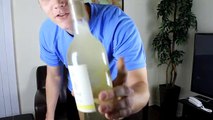 Opening Wine With a Machete - Security Guards - Lemon Juice Challenge   Top Challenges #56