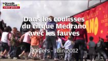 VIDEO. Les fauves du cirque Medrano à Poitiers