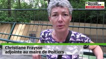 VIDEO. Poitiers l'ours Martha quitte le bois de St-Pierre pour le refuge de l'Arche