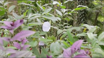 Alondra García Miró se muestra en todo su esplendor en Brasil