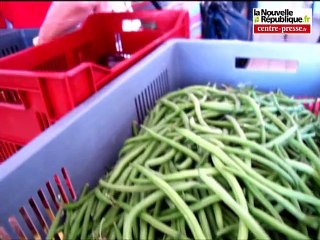 VIDEO Châtellerault: des paniers de légumes du producteur au consommateur