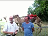VIDEO. Les dromadaires font aussi la course dans la Sarthe !