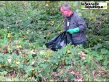 VIDEO LOCHES : Collecte de déchets sur les bords de l'Indre