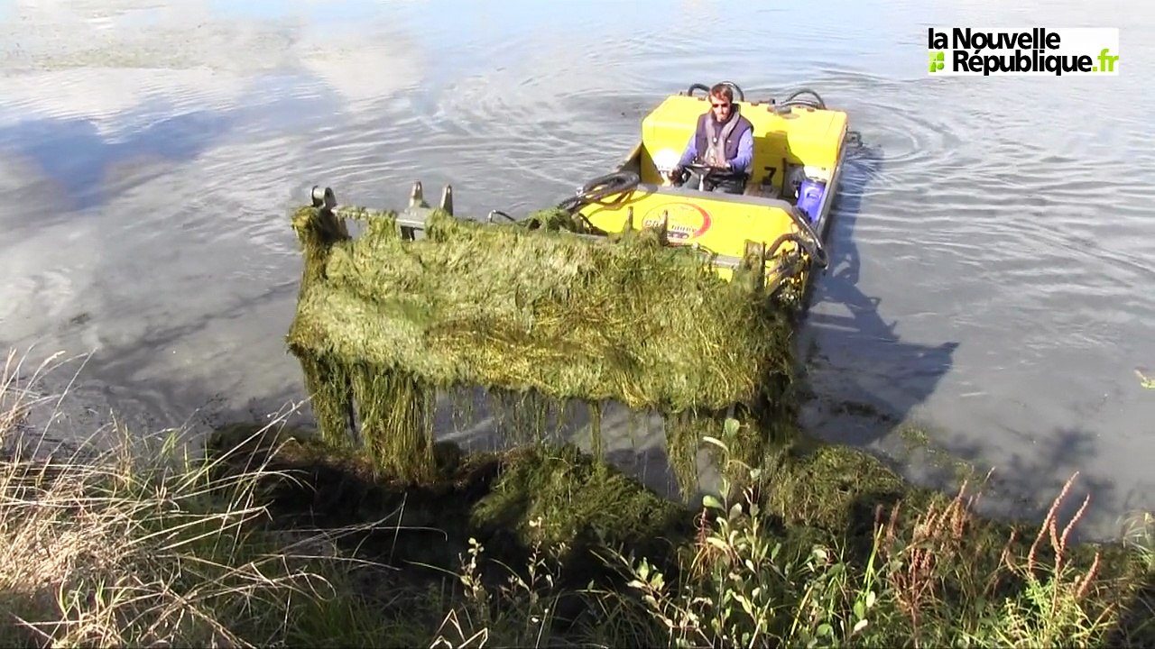 VIDEO. Tours : un bateau pour lutter contre les plantes invasives