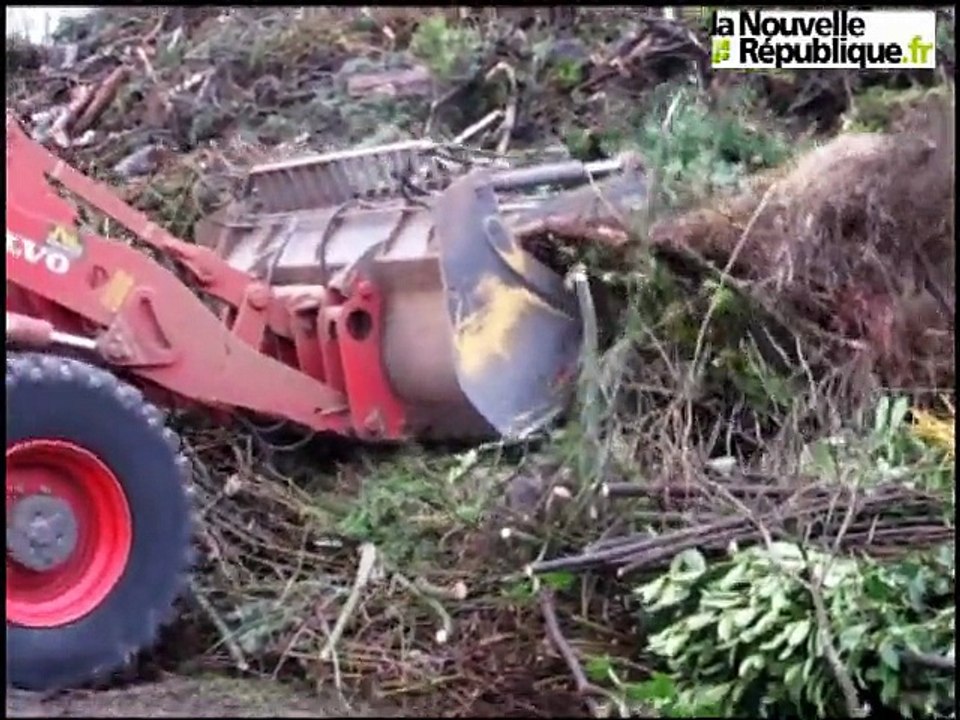 VIDEO. Chateauroux : la courte vie des sapins de Noël