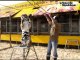 VIDEO : Dans la cage aux lions du cirque Pinder