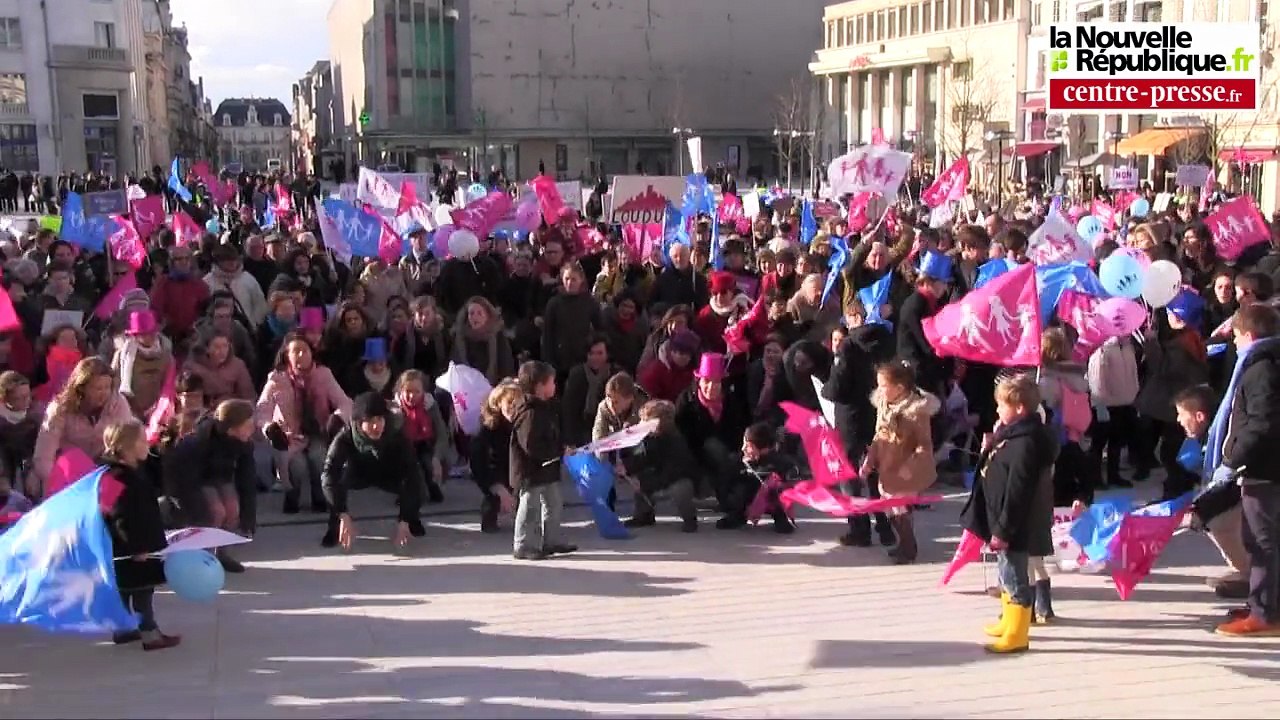 VIDEO. Poitiers : 1.000 manifestants contre le mariage pour tous