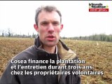 VIDEO. Poitiers. Le constructeur de la LGV reboise pour compenser le défrichage des forêts dans la Vienne