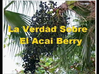 Dieta Acai -Que es Acai? Comprar Acai