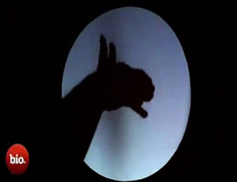 Amazing Hand Shadow show