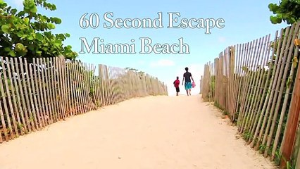 Michael Kossar: Amazing Miami Beach video