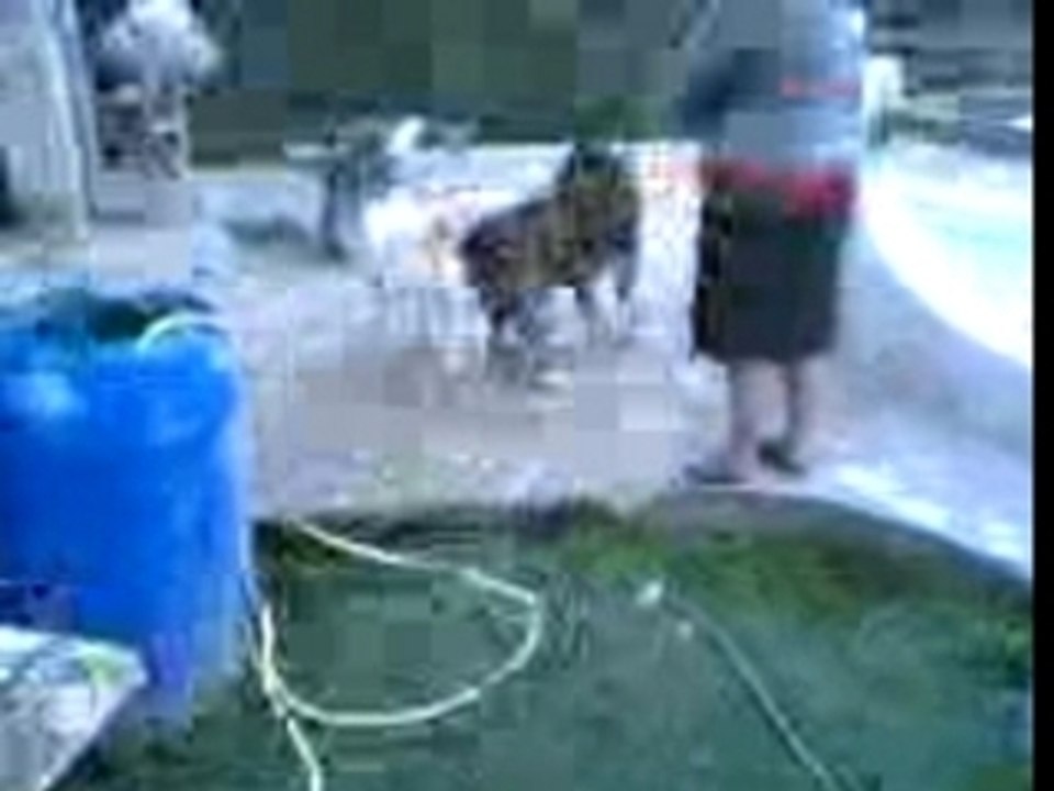 Vidéo(085)