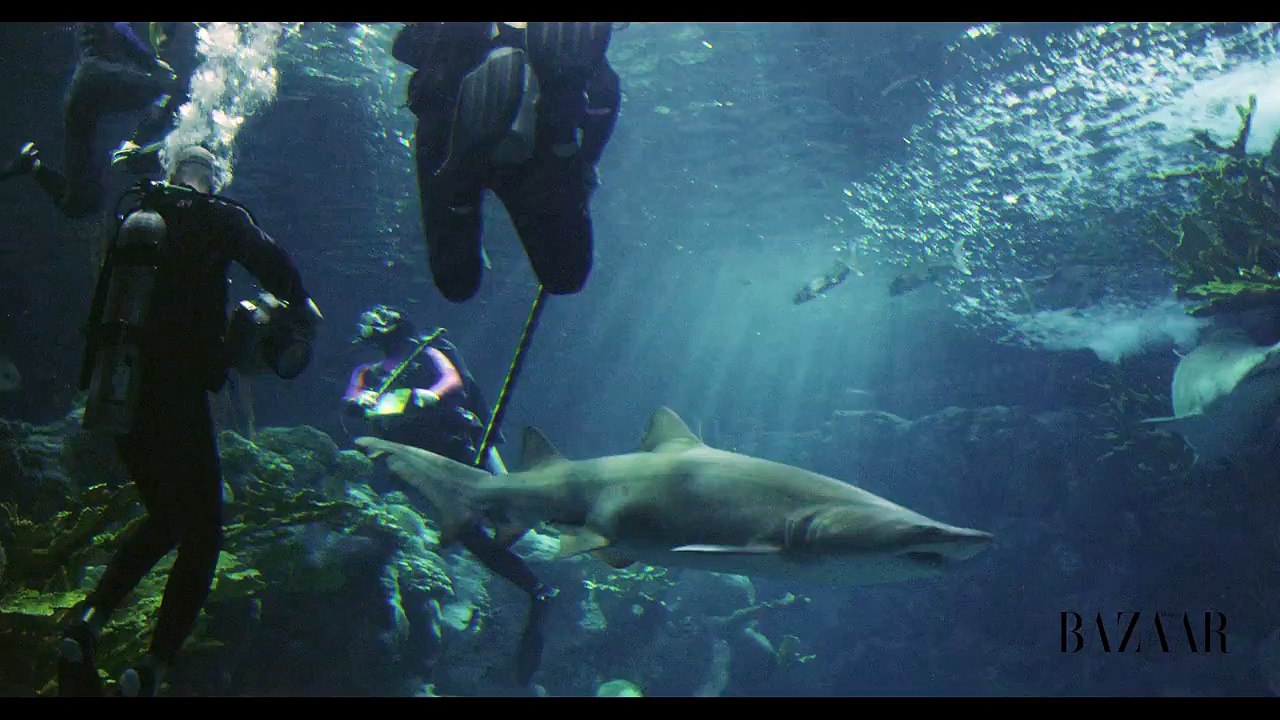 Rihanna avec des requins dans « Harper's Bazaar »
